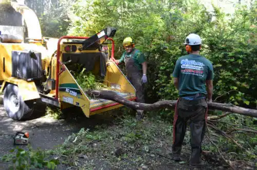 tree services Burden